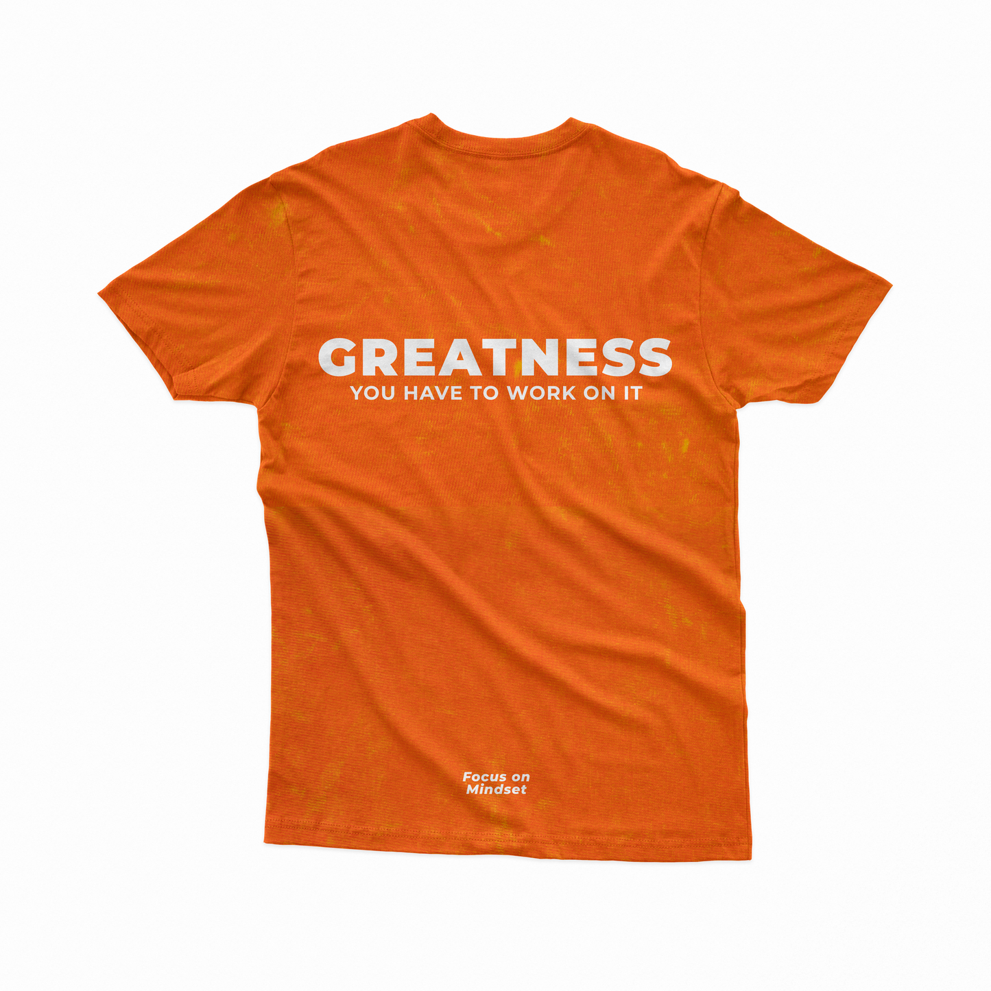 GREATNESS Acid wash TEE